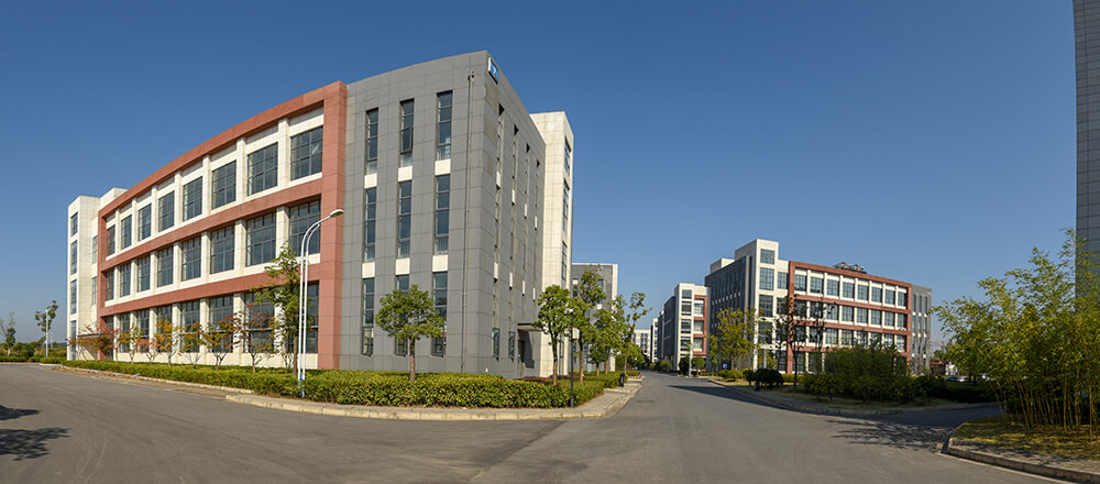 d6