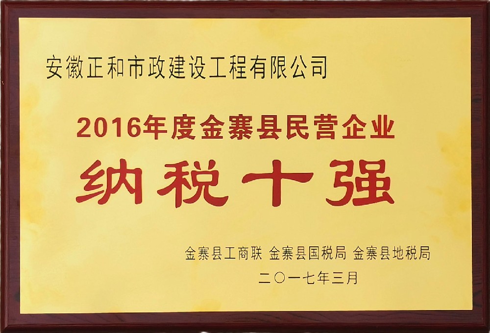 2016金寨县民营企业纳税十强