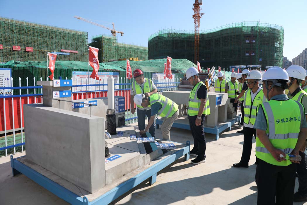 1764913342159004.jpg 3.jpg